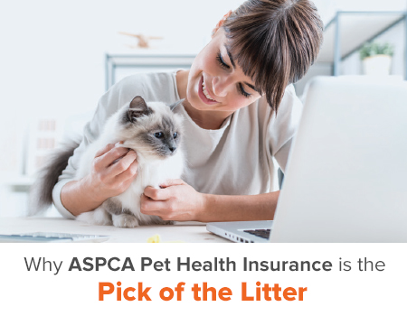 Aspca Pet Health Insurance Worldatwork