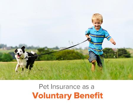 Aspca Pet Health Insurance Worldatwork